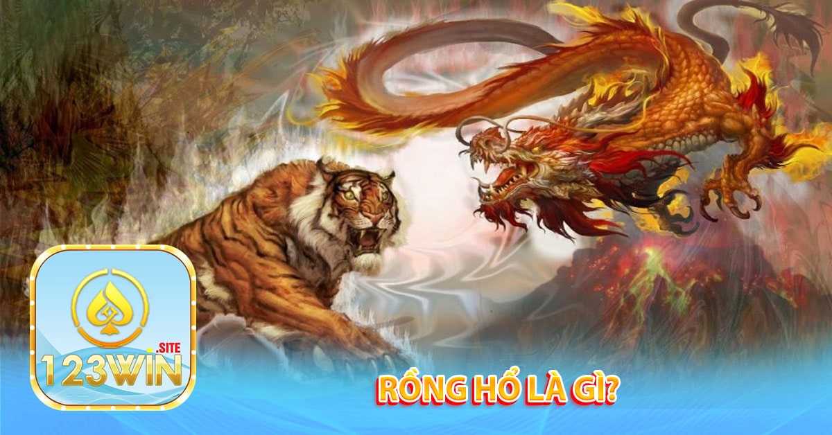 Rồng Hổ là gì?