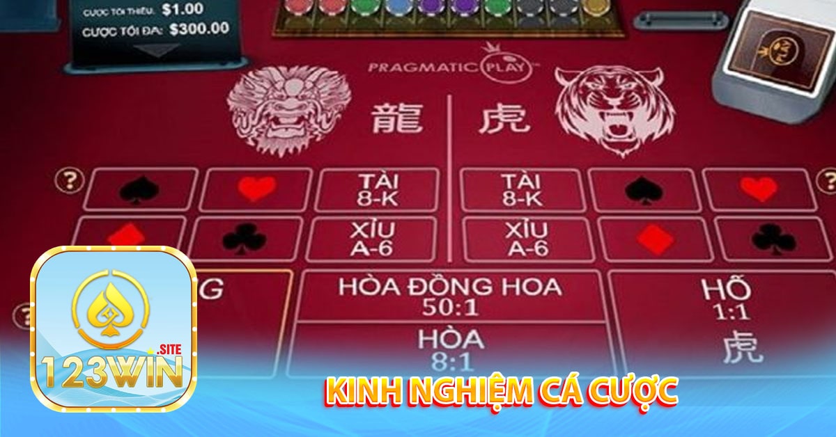 Kinh nghiệm cá cược