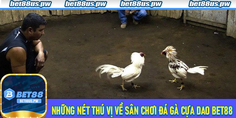 Những nét thú vị về sân chơi Đá Gà Cựa Dao Bet88