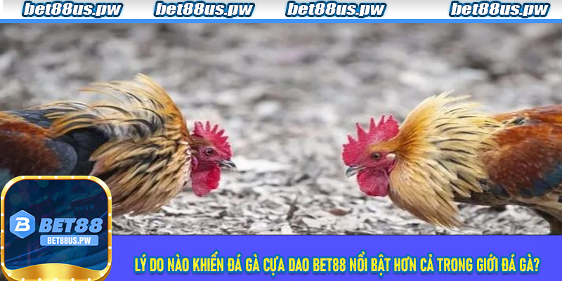 Lý do nào khiến Đá Gà Cựa Dao Bet88 nổi bật hơn cả trong giới đá gà?